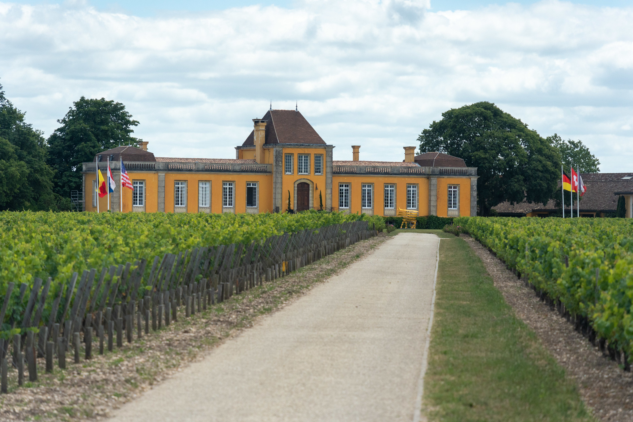 yellow-winery